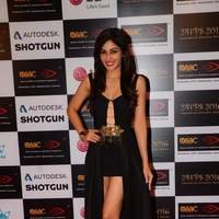 Pooja Chopra at Awards For Excellence In Animation and VFX 2016 Pictures | Picture 1448436