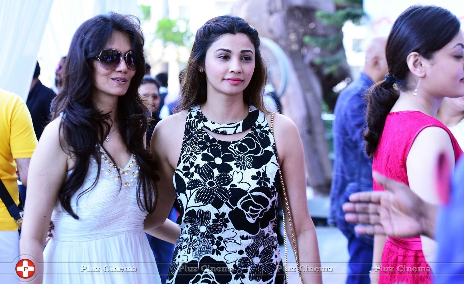 Celebs Galore at Harvey India's Christmas Brunch hosted by Joe Rajan Photos | Picture 1450839