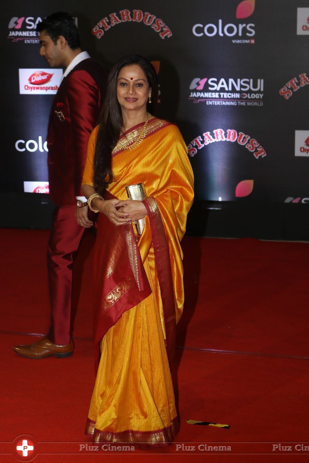 Zarina Wahab - Red Carpet: Sansui Colors Stardust Awards 2016 Pictures | Picture 1450586