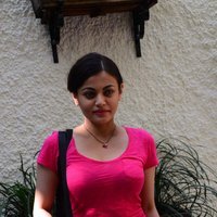 Sneha Ullal at A Dog's Purpose Screening Images | Picture 1491288