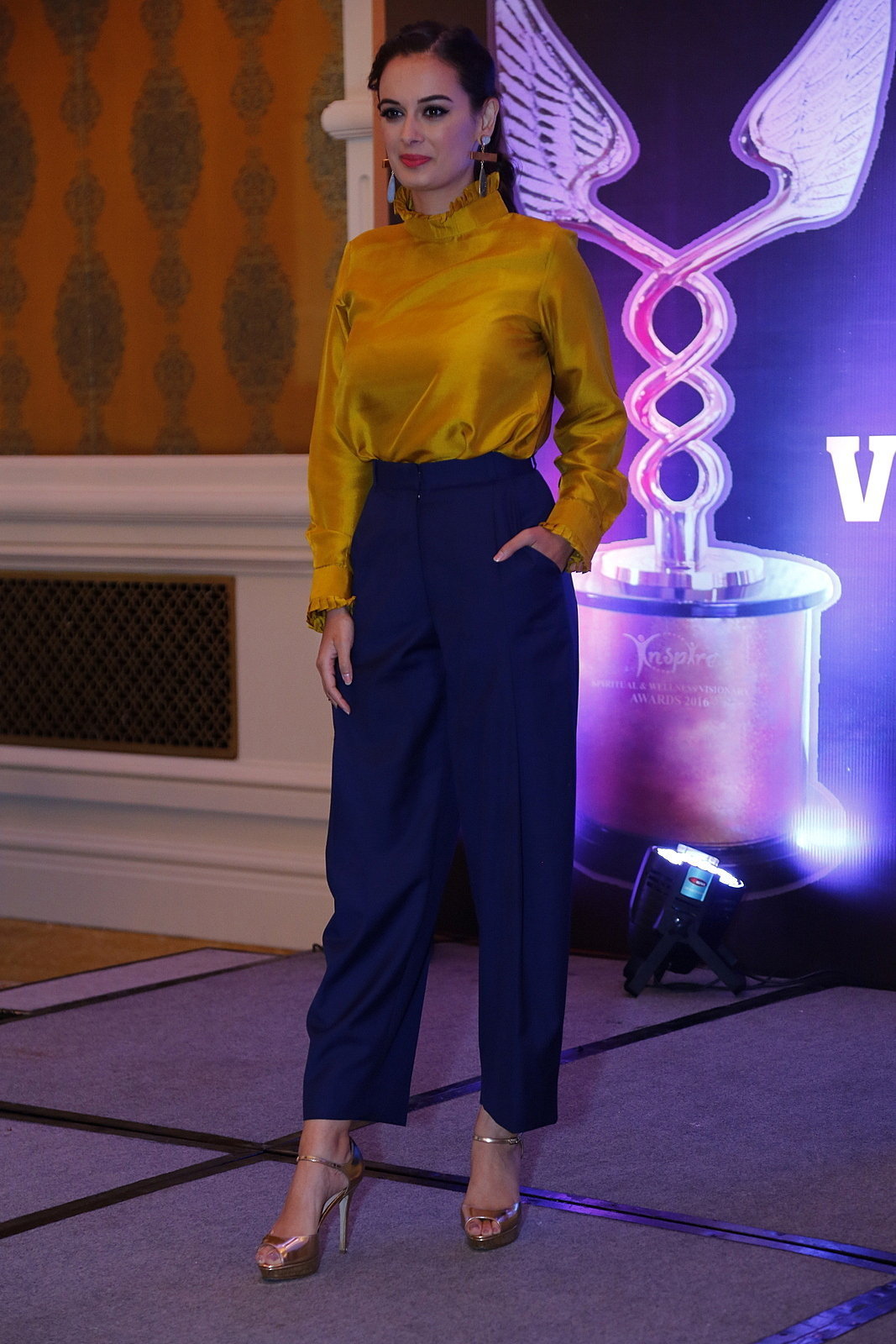 Evelyn Sharma graces Spiritual and Wellness Visionary Awards 2017 | Picture 1523519