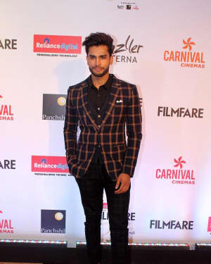 Photos: Celebs at Red Carpet Of Filmfare Glamour & Style Awards 2017 | Picture 1548206