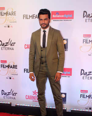 Photos: Celebs at Red Carpet Of Filmfare Glamour & Style Awards 2017 | Picture 1548075