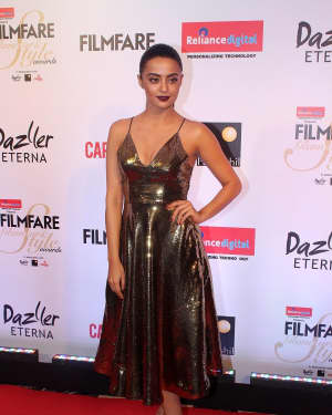 Surveen Chawla - Photos: Celebs at Red Carpet Of Filmfare Glamour & Style Awards 2017 | Picture 1548083