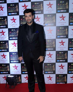 Photos: Celebs at Red Carpet Of Star Screen Awards | Picture 1548833