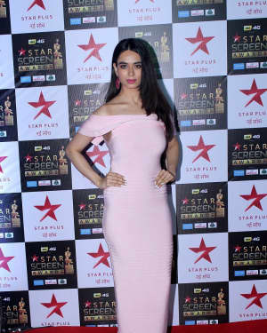 Photos: Celebs at Red Carpet Of Star Screen Awards | Picture 1548840