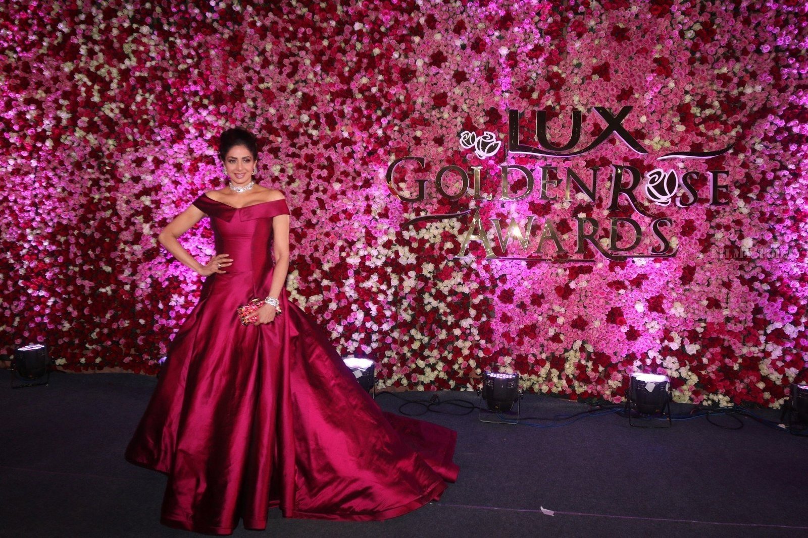 Photos: Red Carpet Of Lux Golden Rose Awards 2017 | Picture 1550295