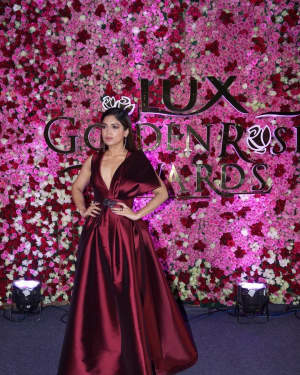 Bhumi Pednekar - Photos: Red Carpet Of Lux Golden Rose Awards 2017