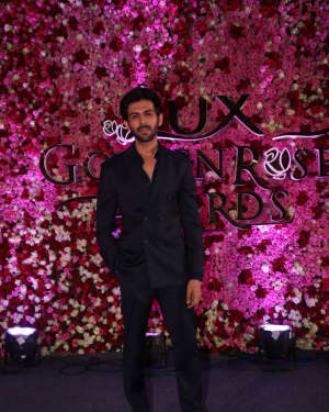 Photos: Red Carpet Of Lux Golden Rose Awards 2017