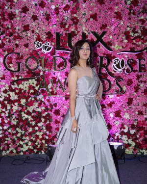 Photos: Red Carpet Of Lux Golden Rose Awards 2017 | Picture 1550291