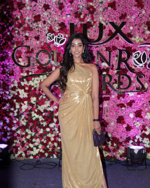 Photos: Red Carpet Of Lux Golden Rose Awards 2017