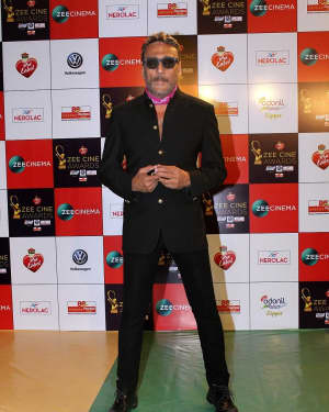 Photos: Celebs At Red Carpet Event Of Zee Cine Awards 2018 | Picture 1552858