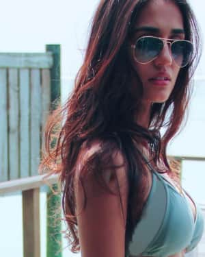 Bollywood Actress Disha Patani Hot Photoshoot | Picture 1556399
