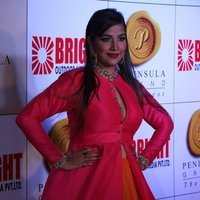 Tanisha Singh - 3rd Bright Awards 2017 Images