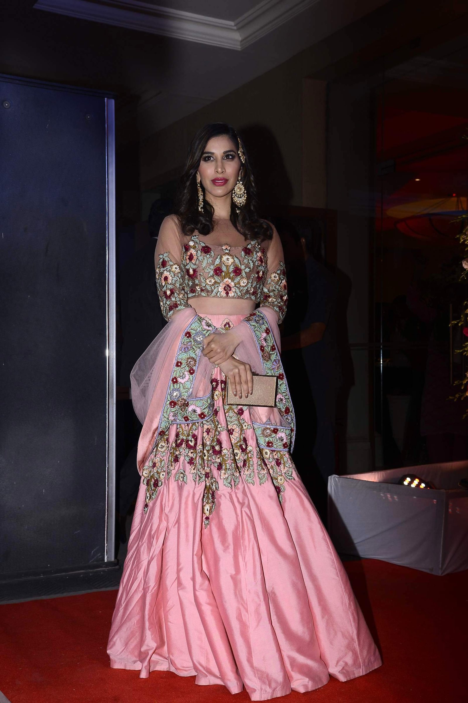 Sophie Choudry - Neil Nitin Mukesh and Rukmini Sahay Wedding Reception Images | Picture 1473246
