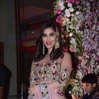 Sophie Choudry - Neil Nitin Mukesh and Rukmini Sahay Wedding Reception Images | Picture 1473249