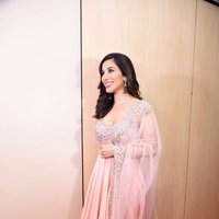 Sophie Choudry - Bollywood celebrities attended Central Excise Day Celebration Images | Picture 1475694