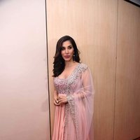 Sophie Choudry - Bollywood celebrities attended Central Excise Day Celebration Images | Picture 1475695