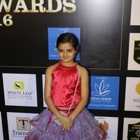 23rd Sol Lions Gold Awards In Support Of Clean India Campaign Pictures | Picture 1457379