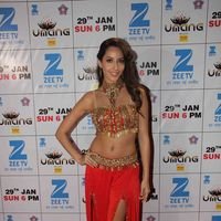 Nora Fatehi - Bollywood Celebs on red carpet at Umang 2017 Photos