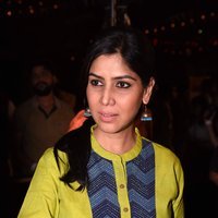 Colours Khidkiyaan Theater Festival - 2nd Edition Photos | Picture 1477724