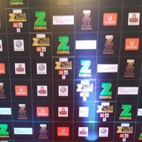 Zee Cine Awards 2017 Red Carpet Photos