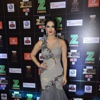 Sunny Leone - Zee Cine Awards 2017 Red Carpet Photos