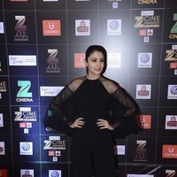 Anushka Sharma - Zee Cine Awards 2017 Red Carpet Photos