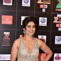 Sonali Kulkarni - Zee Cine Awards 2017 Red Carpet Photos
