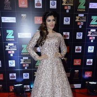 Raveena Tandon - Zee Cine Awards 2017 Red Carpet Photos