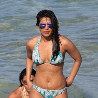 Priyanka Chopra Shows Off Her Bikini Body in Miami Beach Pics | Picture 1498218