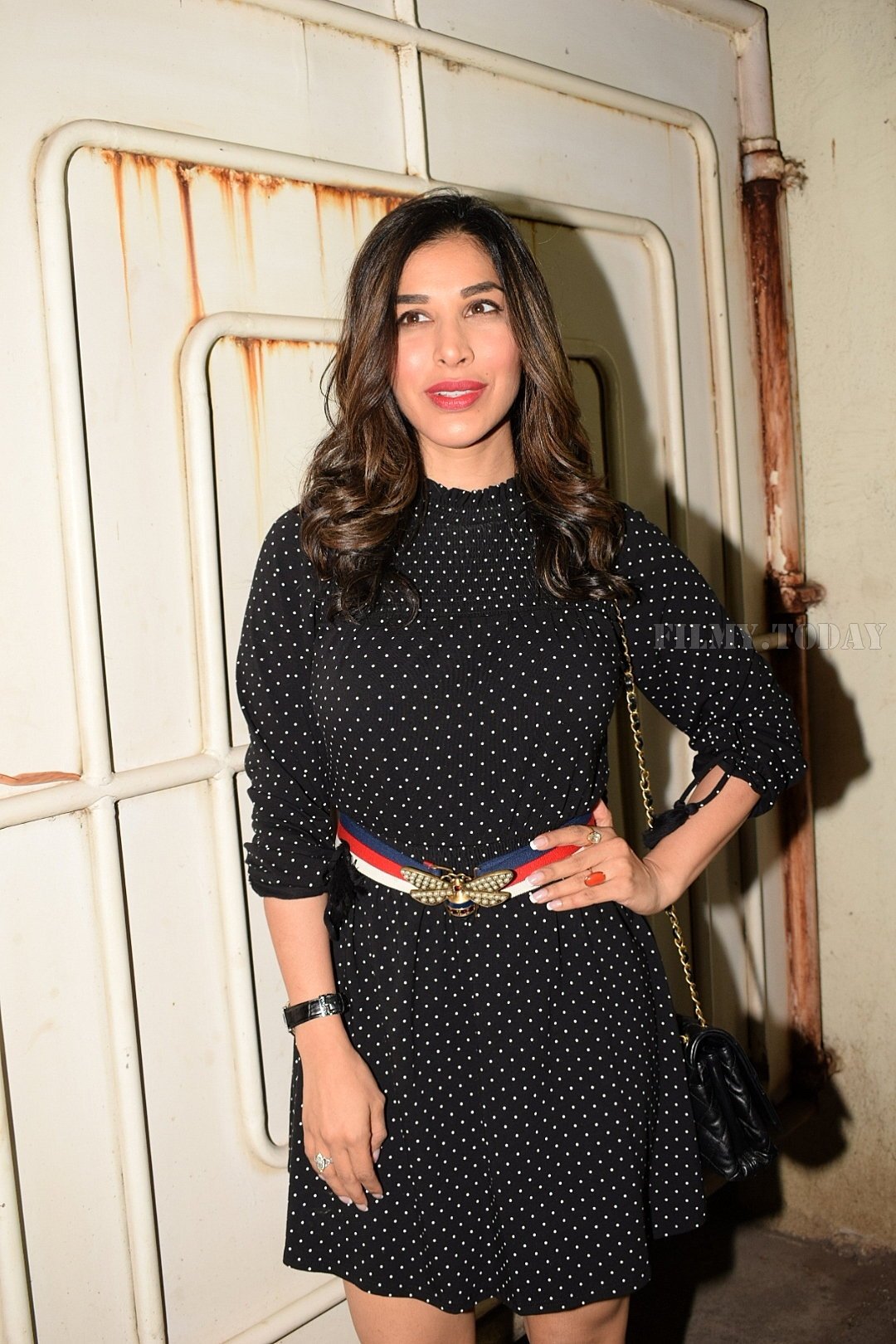 Sophie Choudry - Photos: Screening Of Movie Black Mail At Sunny Super Sound | Picture 1575230