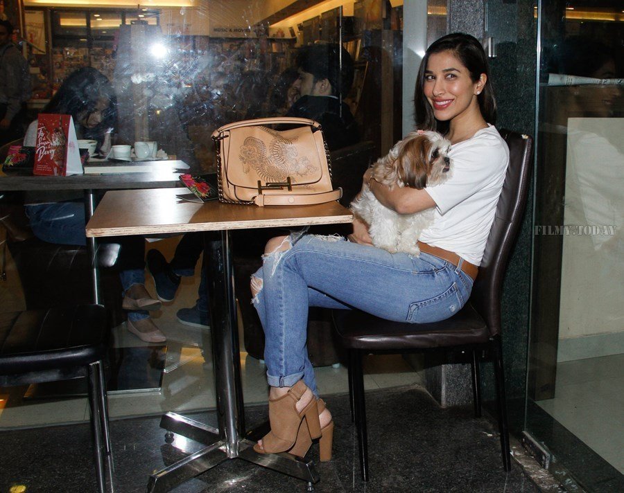 Photos: Sophie Choudry Spotted at Cafe Dbella Bandra | Picture 1557494