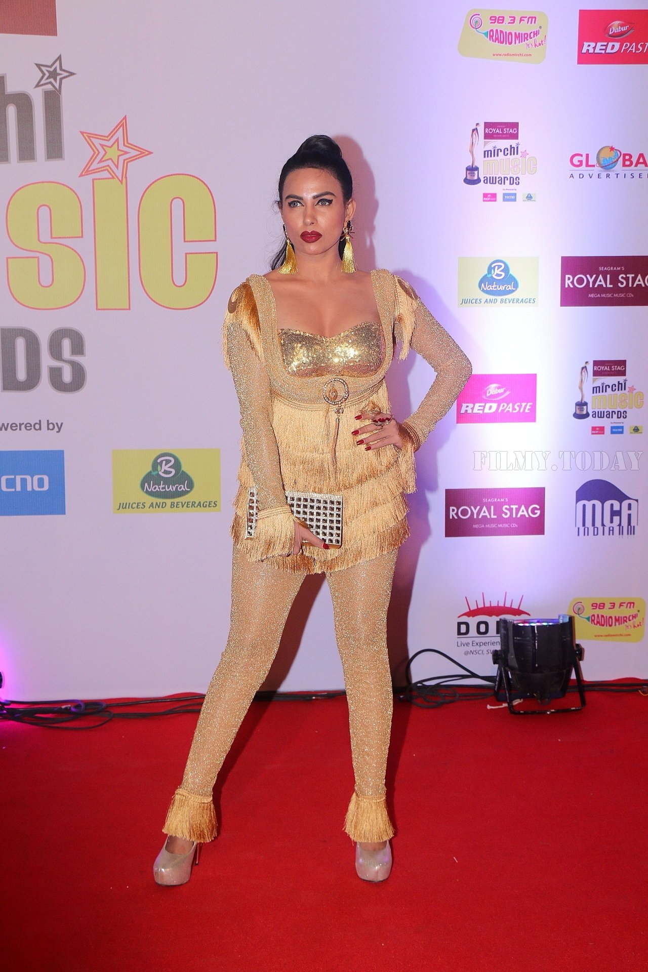 Photos: Red Carpet Of 10th Mirchi Music Awards 2018 | Picture 1562515