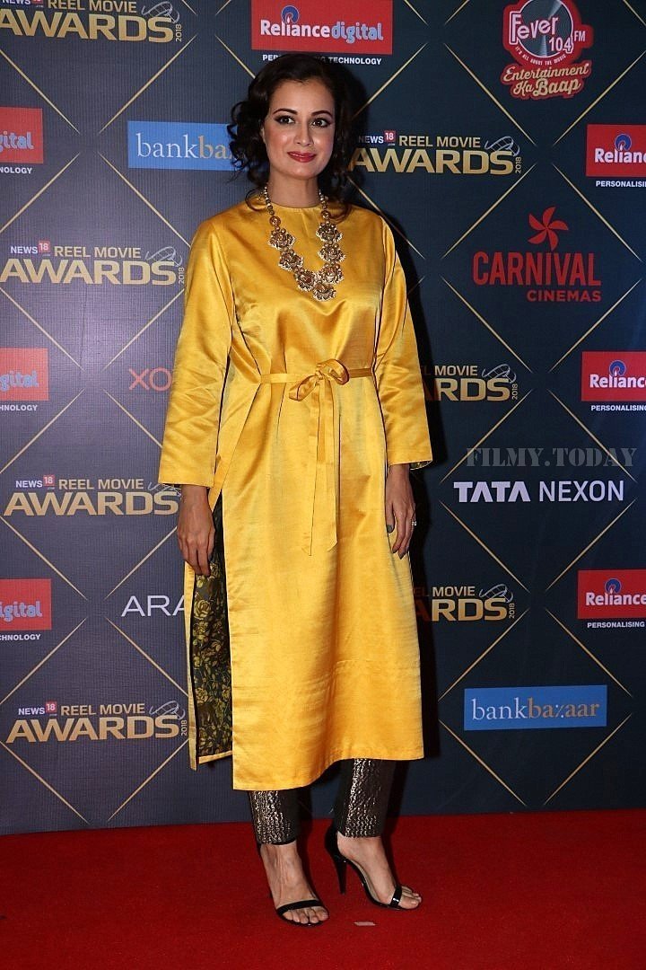 Dia Mirza - Photos: Bollywood Celebs At Reel Movies Award 2018 | Picture 1573184