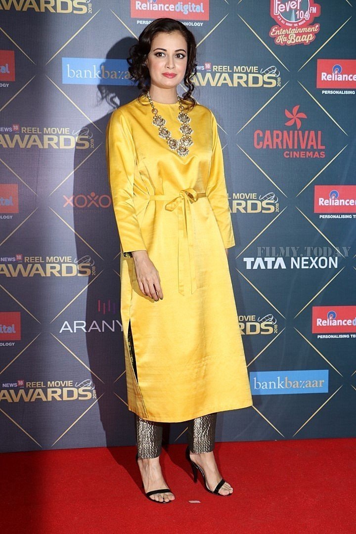 Dia Mirza - Photos: Bollywood Celebs At Reel Movies Award 2018 | Picture 1573183