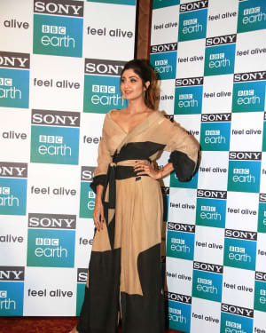 Photos: Shilpa Shetty at Sony BBC Earth 1st Anniversary Celebration  | Picture 1573908