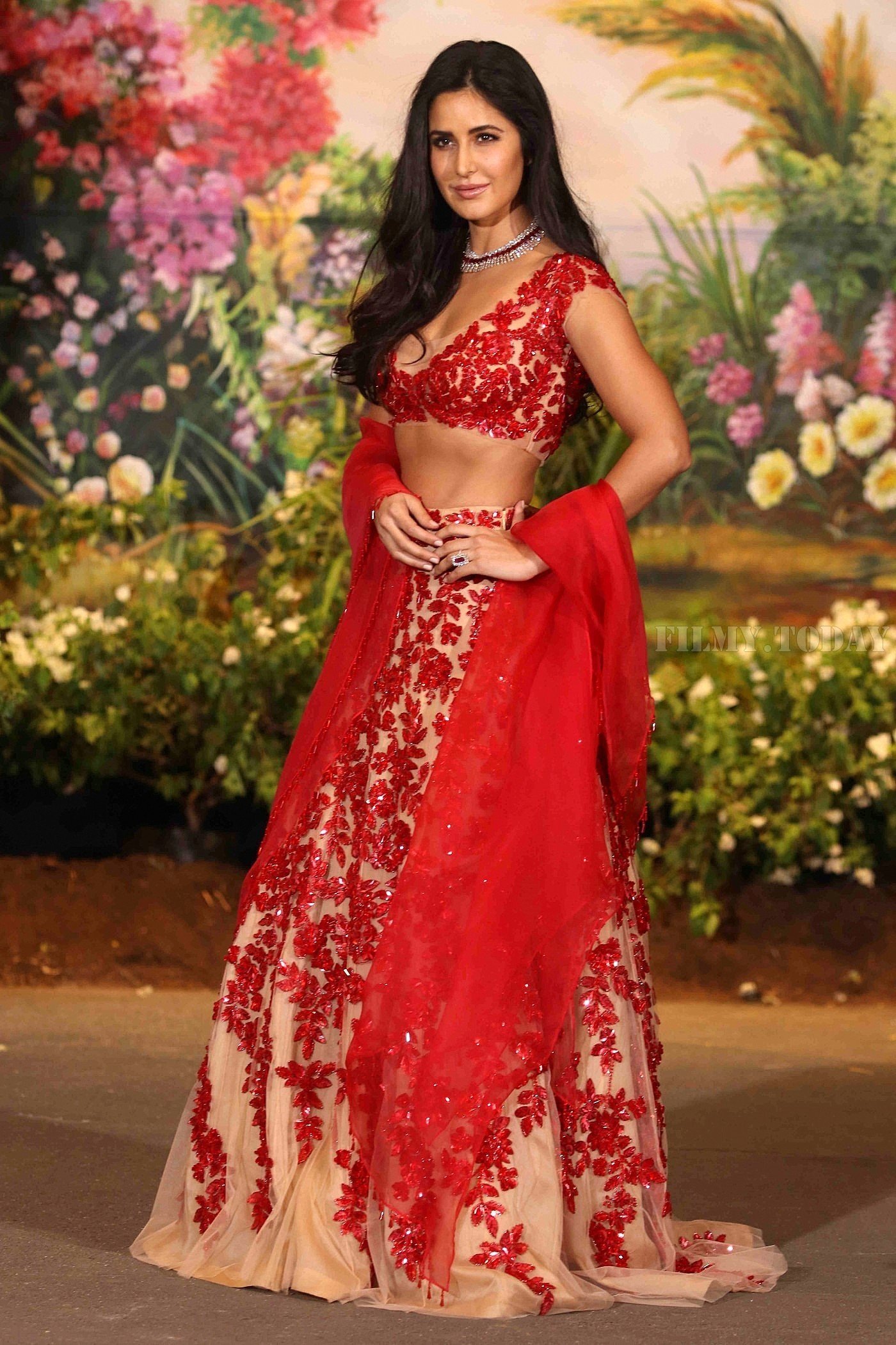 Katrina Kaif - Photos: Sonam Kapoor and Anand Ahuja Wedding Reception | Picture 1581804