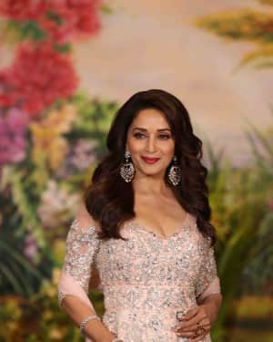 Madhuri Dixit - Photos: Sonam Kapoor and Anand Ahuja Wedding Reception | Picture 1581785