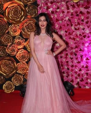Chitrangada Singh - Photos: Lux Golden Awards 2018 Red Carpet