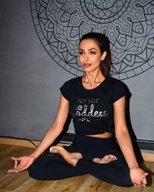 Malaika Arora - Photos: Celebs at Launch of Diva Yoga