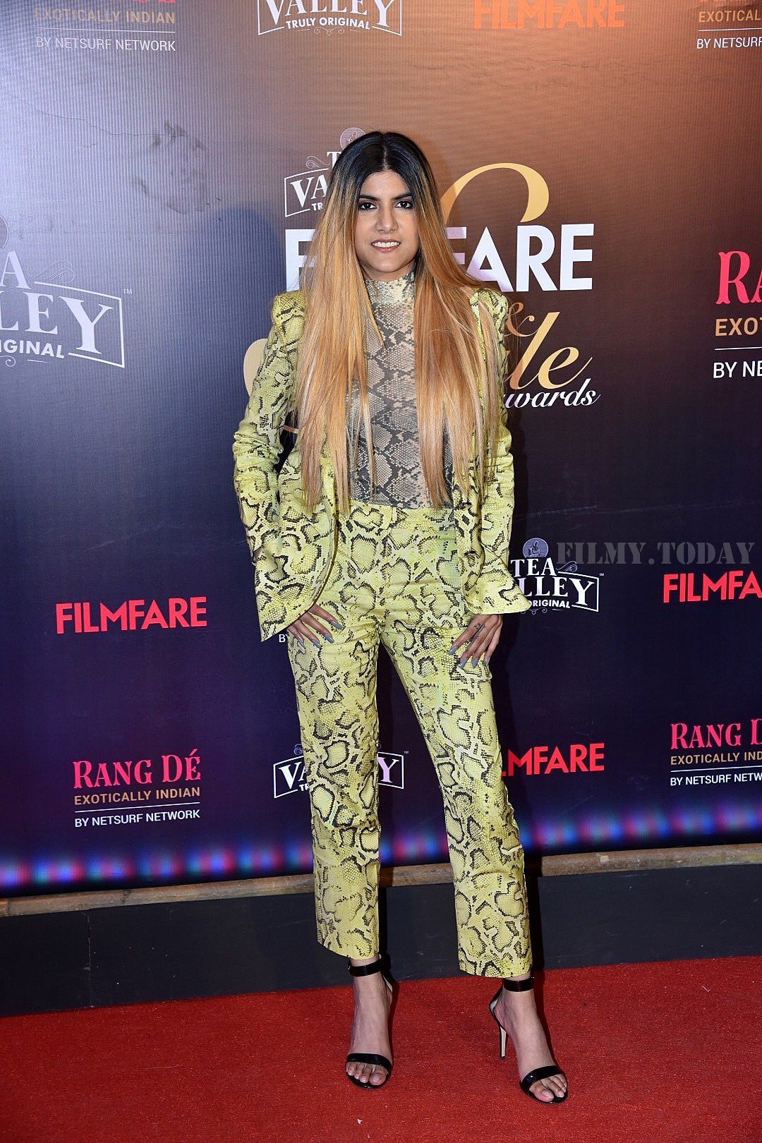Photos: Red Carpet Of Filmfare Glamour and Style Awards 2019 | Picture 1626853