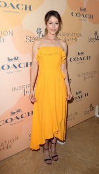 Amanda Crew - Step Up Women's Network presents their 14th annual Inspiration Awards luncheon