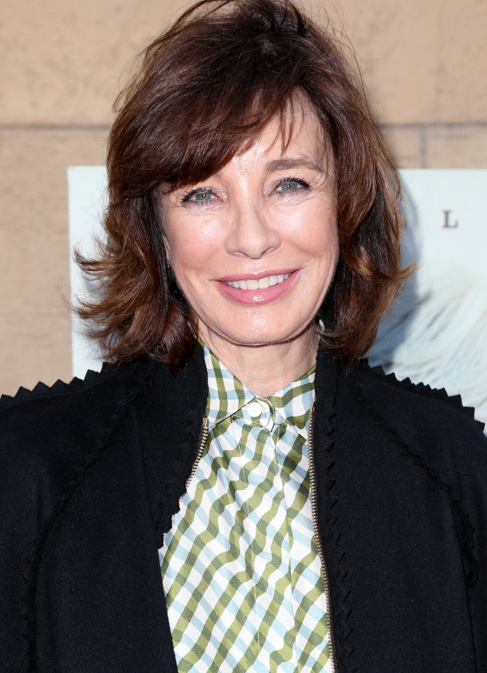 Anne Archer - Premiere Of The Orchard's 'The Hero' | Picture 1503440