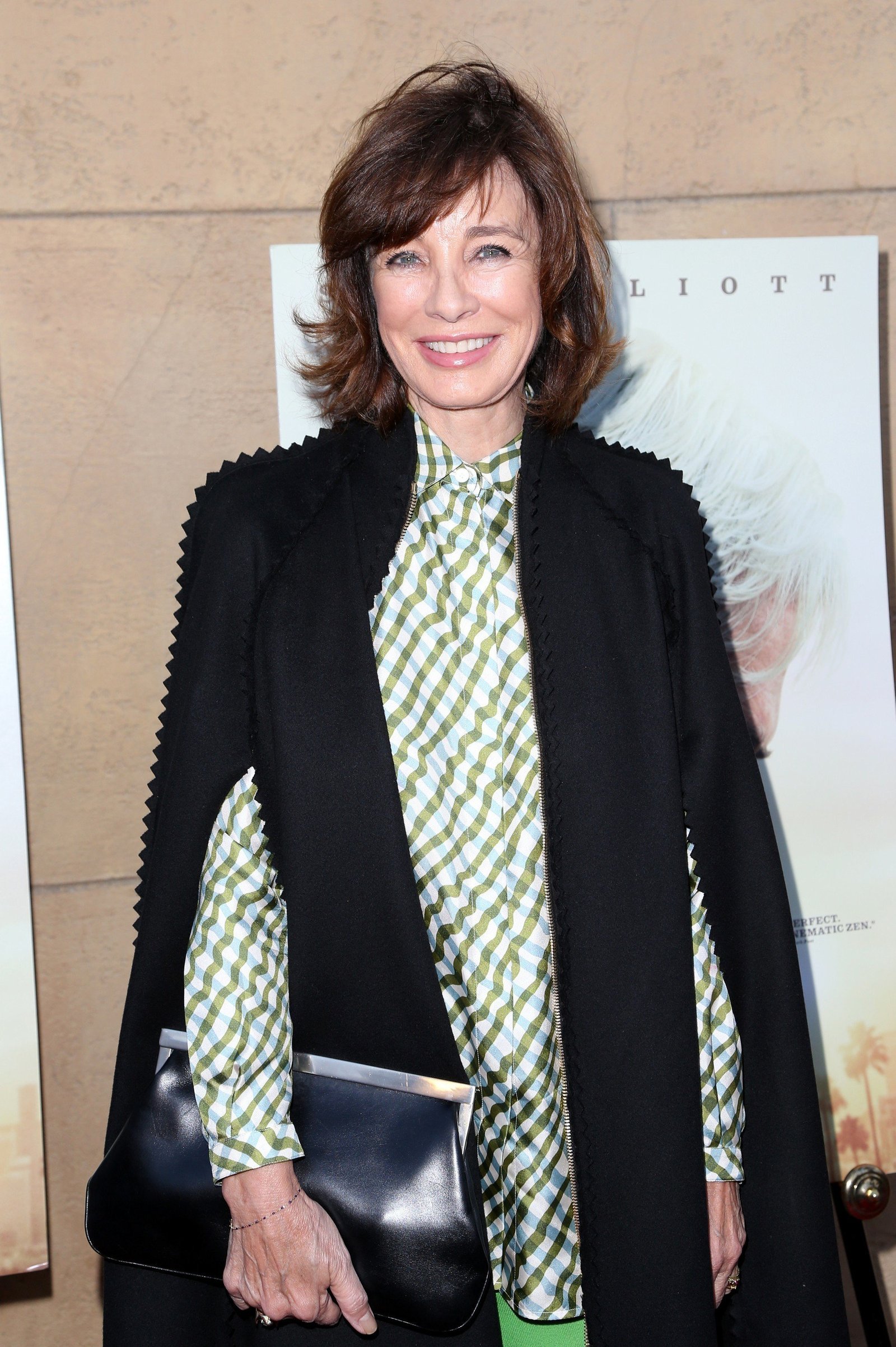 Anne Archer - Premiere Of The Orchard's 'The Hero' | Picture 1503442