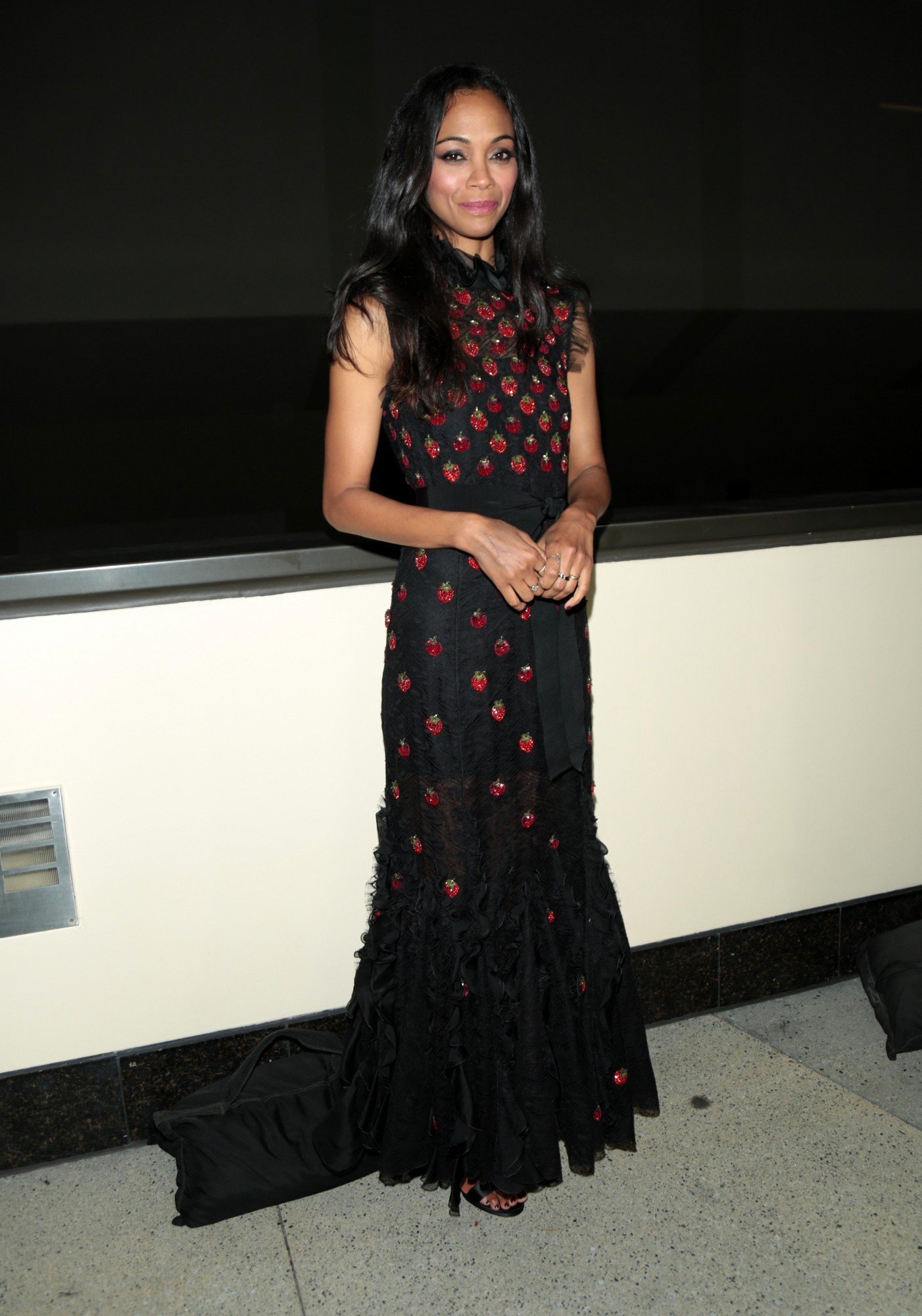 Zoe Saldana - 2017 NALIP Latino Media Awards | Picture 1511382