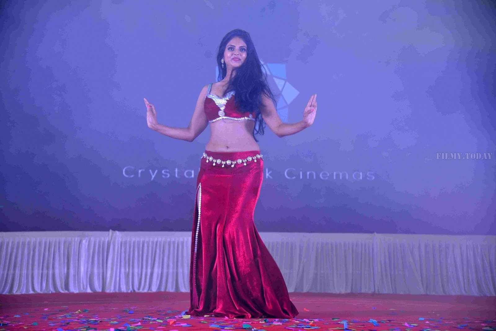 Deepika (Kannada Actress) - Chamak Film Audio Release Photos | Picture 1549563