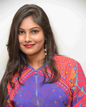 Pavitra (Kannda Actress) - Chaukur Gate Kannada Film Press Meet Photos