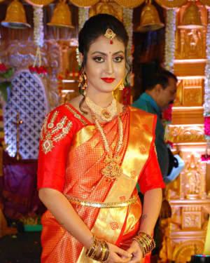 Nisha (Kannada Actress) - Zee Tv's Shree Vishnu Dashavatara Press Meet Photos | Picture 1603808