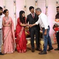 Actor Ashwin Kakumanu - Sonali Wedding Reception Photos